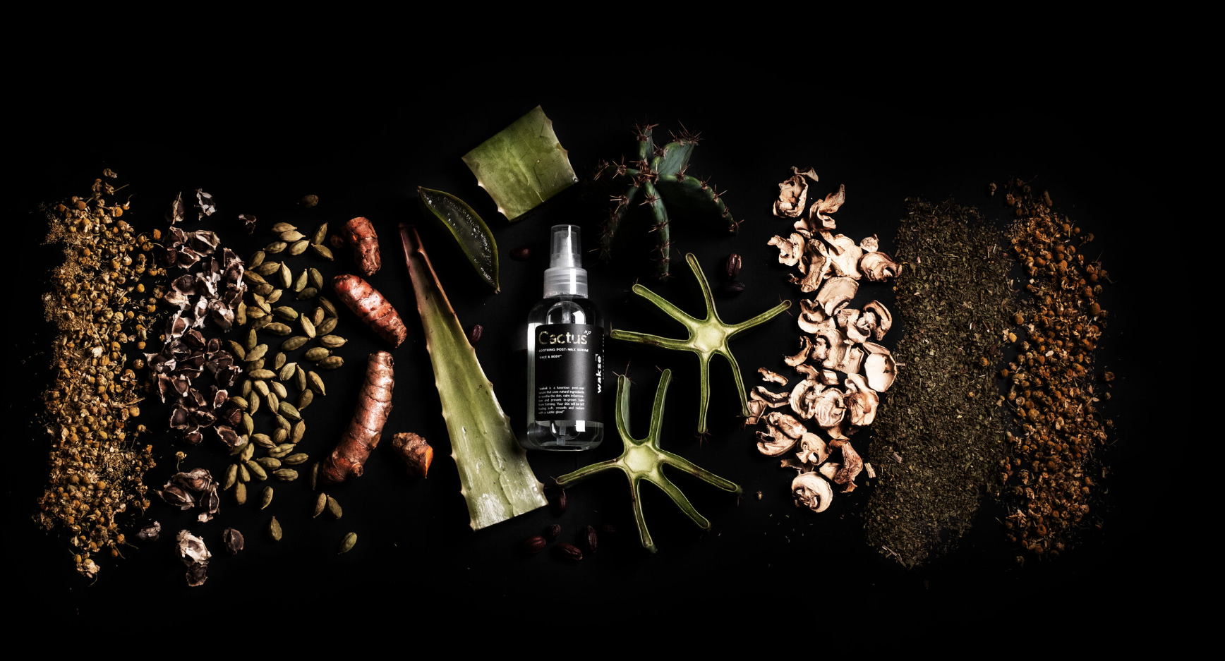 Wakse - Cactus H2o Post Wax Serum